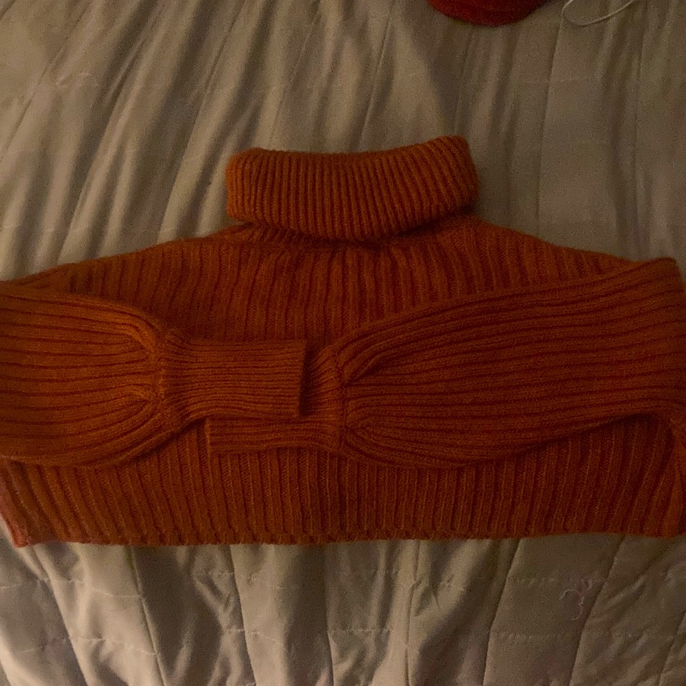 A dark autumn cropped sweater